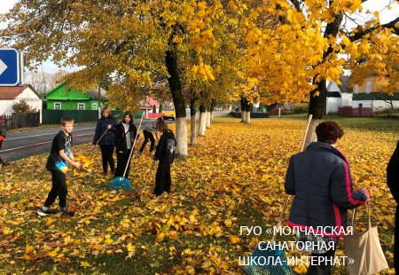 МЕСЯЧНИК ПО БЛАГОУСТРОЙСТВУ