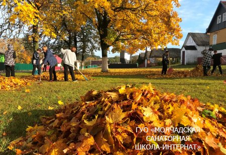 МЕСЯЧНИК ПО БЛАГОУСТРОЙСТВУ