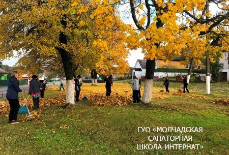 МЕСЯЧНИК ПО БЛАГОУСТРОЙСТВУ