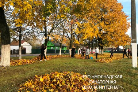 МЕСЯЧНИК ПО БЛАГОУСТРОЙСТВУ