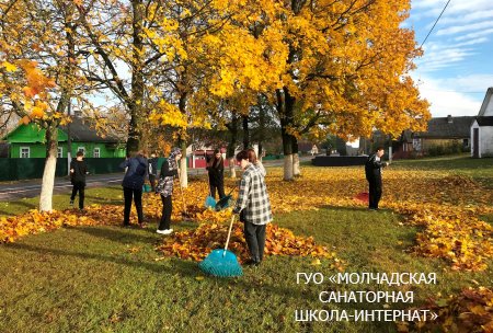 МЕСЯЧНИК ПО БЛАГОУСТРОЙСТВУ