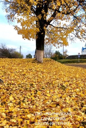 МЕСЯЧНИК ПО БЛАГОУСТРОЙСТВУ