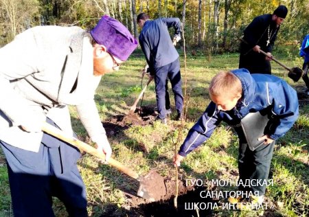 САД РОДИТЕЛЬСКОЙ ЛЮБВИ