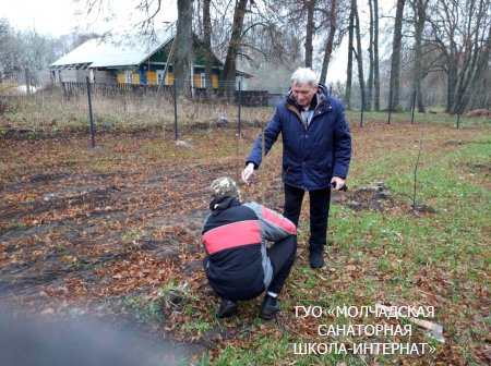 НЕДЕЛЯ ЭНЕРГОСБЕРЕЖЕНИЯ "ЭКОНОМИЯ И БЕРЕЖЛИВОСТЬ - ЗАБОТА КАЖДОГО!"