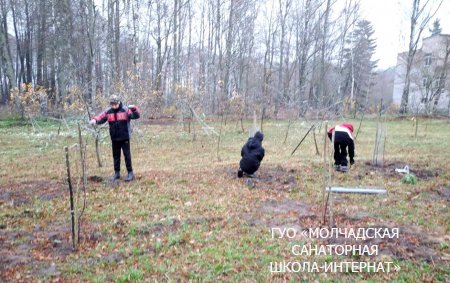 НЕДЕЛЯ ЭНЕРГОСБЕРЕЖЕНИЯ "ЭКОНОМИЯ И БЕРЕЖЛИВОСТЬ - ЗАБОТА КАЖДОГО!"