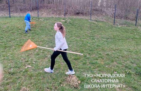 НЕДЕЛЯ БЛАГОУСТРОЙСТВА