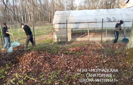 НЕДЕЛЯ БЛАГОУСТРОЙСТВА