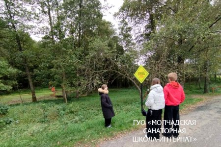 ДЕНЬ ЭКСКУРСИЙ И ПОХОДОВ