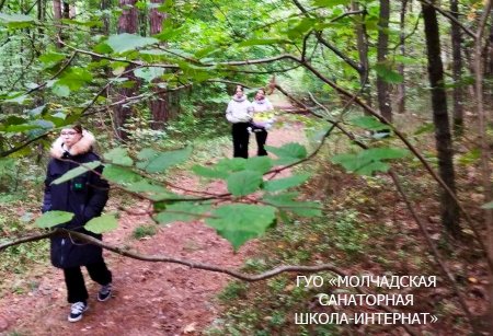 ДЕНЬ ЭКСКУРСИЙ И ПОХОДОВ
