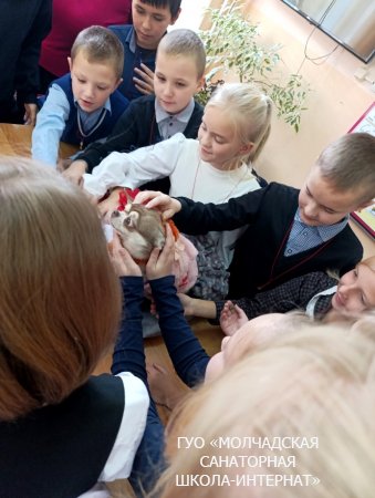 БЛАГОТВОРИТЕЛЬНАЯ АКЦИЯ "ЛЮБИТЕ ЖИЗНЬ"