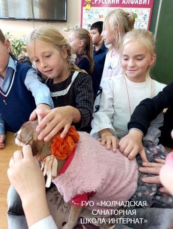 БЛАГОТВОРИТЕЛЬНАЯ АКЦИЯ "ЛЮБИТЕ ЖИЗНЬ"