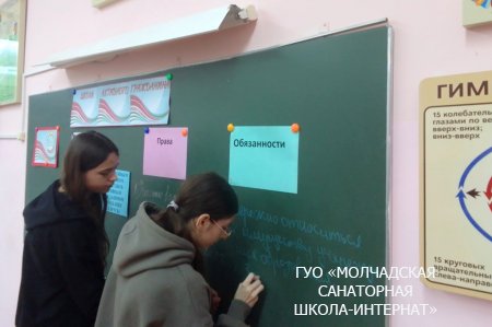 ШАГ "БЫТЬ ДОСТОЙНЫМ ГРАЖДАНИНОМ РЕСПУБЛИКИ БЕЛАРУСЬ..."
