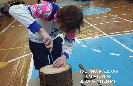 НЕДЕЛЯ ТРУДОВОГО ОБУЧЕНИЯ