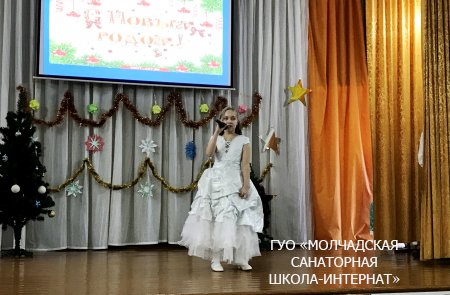 НОВОГОДНИЕ ПРАЗДНИКИ