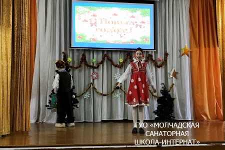 НОВОГОДНИЕ ПРАЗДНИКИ