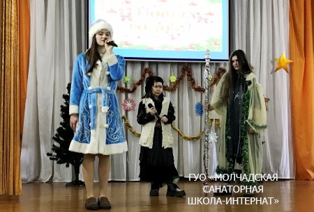 НОВОГОДНИЕ ПРАЗДНИКИ