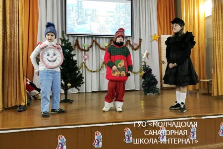 НОВОГОДНИЕ ПРАЗДНИКИ