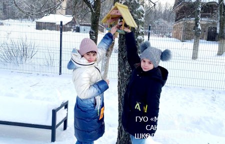 АКЦИЯ "ПОМОЖЕМ ПТИЦАМ ЗИМОЙ"