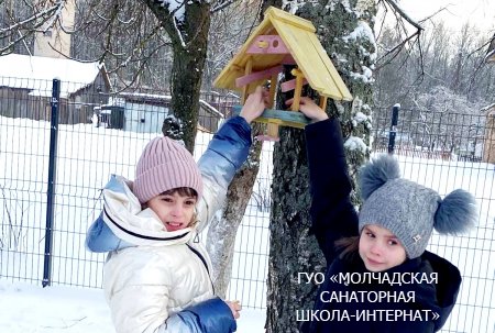 АКЦИЯ "ПОМОЖЕМ ПТИЦАМ ЗИМОЙ"