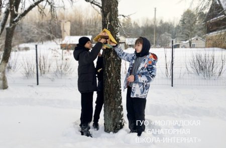 АКЦИЯ "ПОМОЖЕМ ПТИЦАМ ЗИМОЙ"