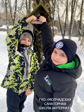 АКЦИЯ "ПОМОЖЕМ ПТИЦАМ ЗИМОЙ"
