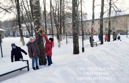 АКЦИЯ "ПОМОЖЕМ ПТИЦАМ ЗИМОЙ"