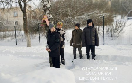 АКЦИЯ "ПОМОЖЕМ ПТИЦАМ ЗИМОЙ"
