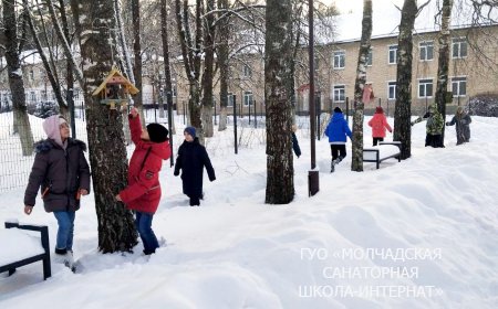 АКЦИЯ "ПОМОЖЕМ ПТИЦАМ ЗИМОЙ"