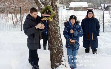 АКЦИЯ "ПОМОЖЕМ ПТИЦАМ ЗИМОЙ"