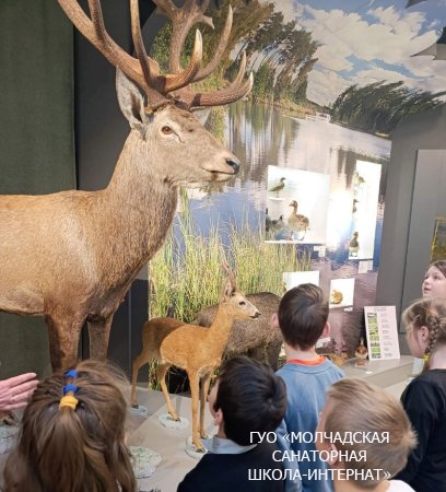 ЭКСКУРСИЯ В ГОРОД БАРАНОВИЧИ