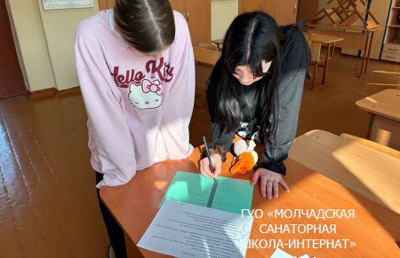 УДИНЫЙ УРОК, ПОСВЯЩЕННЫЙ ДНЮ КОНСТИТУЦИИ