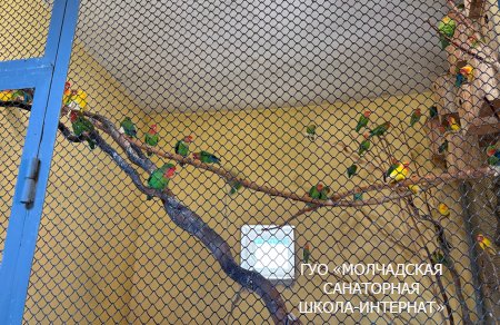 ЭКСКУРСИЯ В ГОРОД ГРОДНО