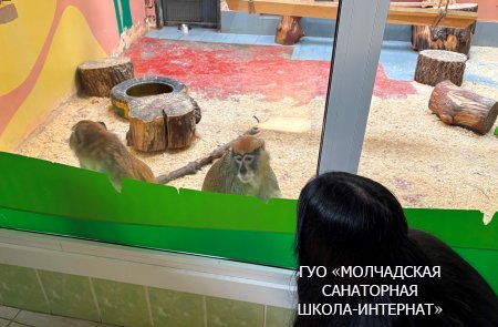 ЭКСКУРСИЯ В ГОРОД ГРОДНО