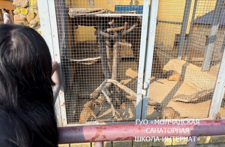 ЭКСКУРСИЯ В ГОРОД ГРОДНО