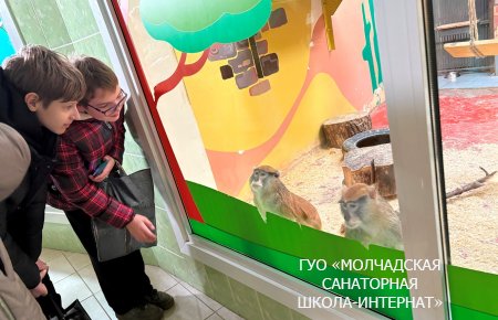 ЭКСКУРСИЯ В ГОРОД ГРОДНО