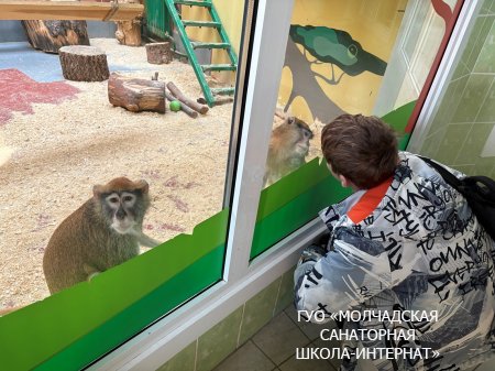 ЭКСКУРСИЯ В ГОРОД ГРОДНО