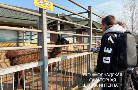 ЭКСКУРСИЯ В ГОРОД ГРОДНО