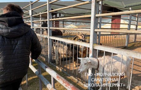ЭКСКУРСИЯ В ГОРОД ГРОДНО