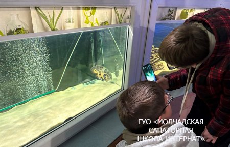 ЭКСКУРСИЯ В ГОРОД ГРОДНО