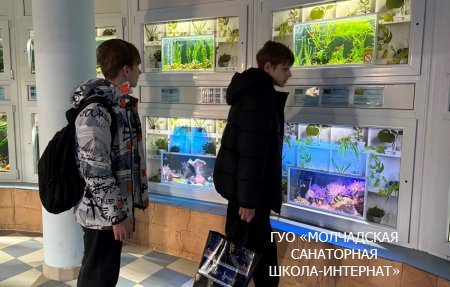 ЭКСКУРСИЯ В ГОРОД ГРОДНО