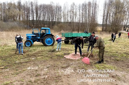 МЕРОПРИЯТИЯ ПО БЛАГОУСТРОЙСТВУ