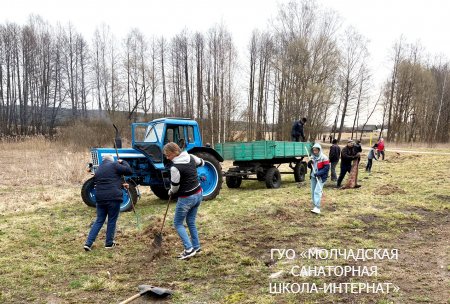 МЕРОПРИЯТИЯ ПО БЛАГОУСТРОЙСТВУ