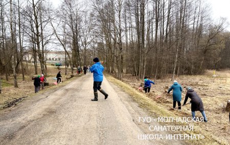 МЕРОПРИЯТИЯ ПО БЛАГОУСТРОЙСТВУ