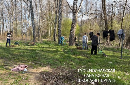 РЕСПУБЛИКАНСКИЙ СУББОТНИК